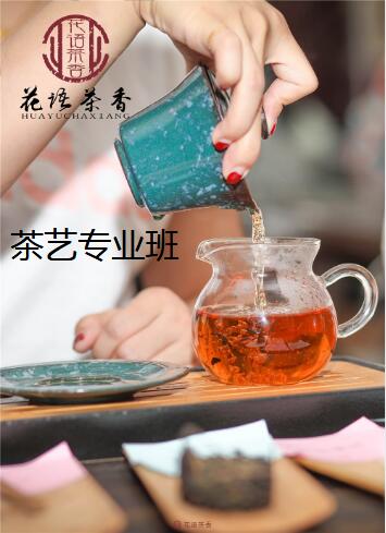 茶艺专业班